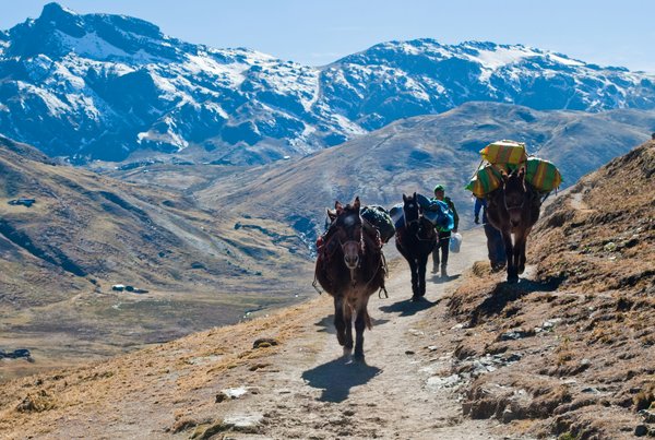 Comment organiser une expédition de trek dans les montagnes de la Cordillère des Andes, Argentine ?